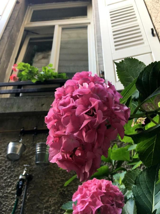 Schloss Apartment, Zentrum バーデン＝バーデン エクステリア 写真